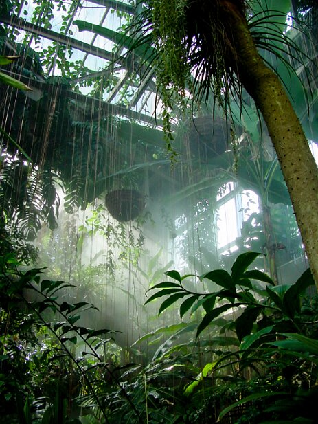 Atlanta Botanical Garden, 2002