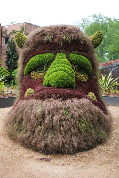 Atlanta Botanical Garden 2013-05