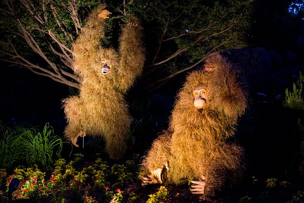 Atlanta Botanical Garden 2014-05