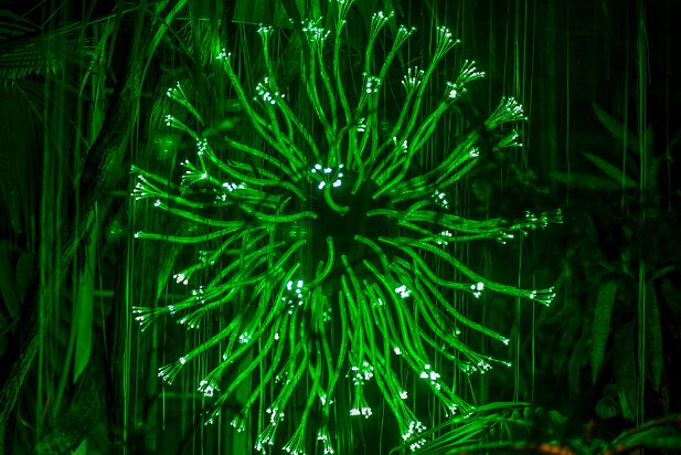 ABG 2015-09 Bruce Munro Exhibition