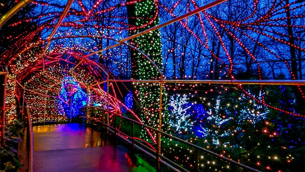 ABG 2015-12 Garden Lights