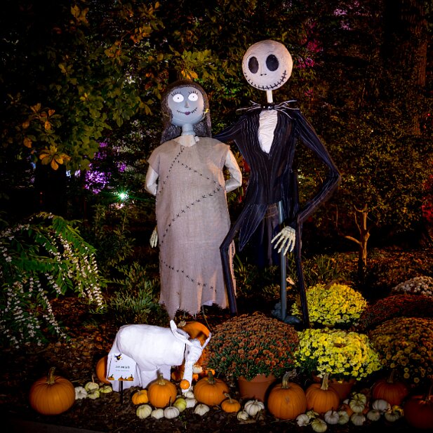 ABG 2017-10 Jack and Sally