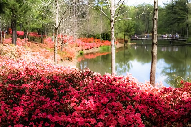 Callaway Gardens, 2004-04