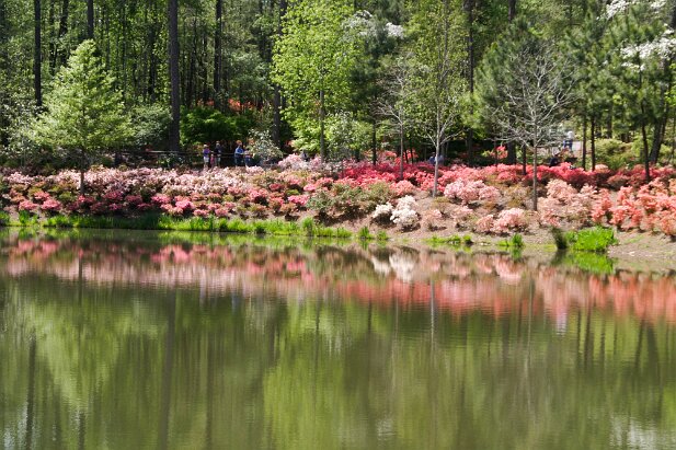 Callaway Gardens, 2004-04