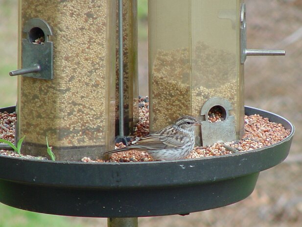 Cara's 1st Birthday, 2002
