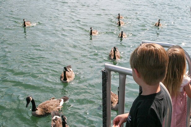 Birthday Cara 2004-06 Duck feeding