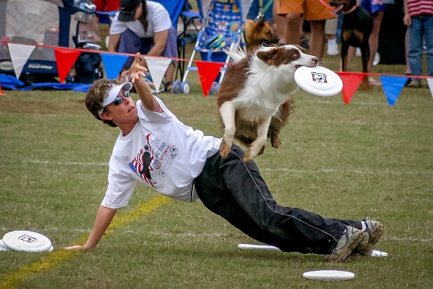 Dog Frisbee 2005-04