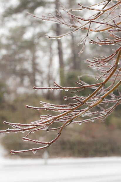 Icestorm 2014-02