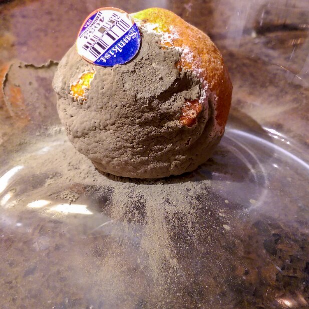 Food 2014 Moldy lemon