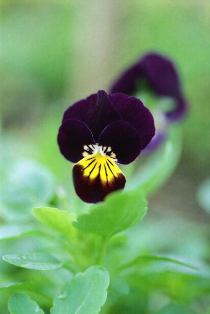 Photowalk Pictures - David