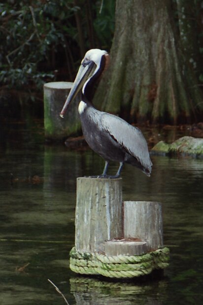 Photowalk Pictures - David