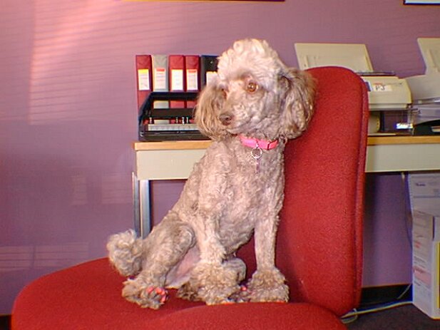 Riddle Office Products