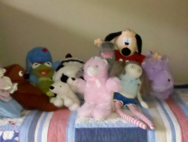 Stuffed Toys
