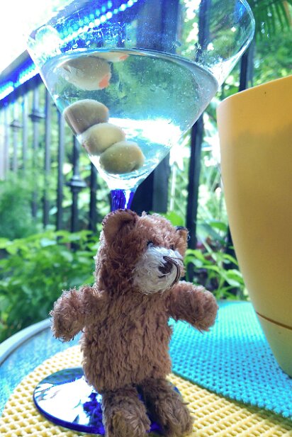 Truffles Bear Adventures Truffles Bear leans against martini