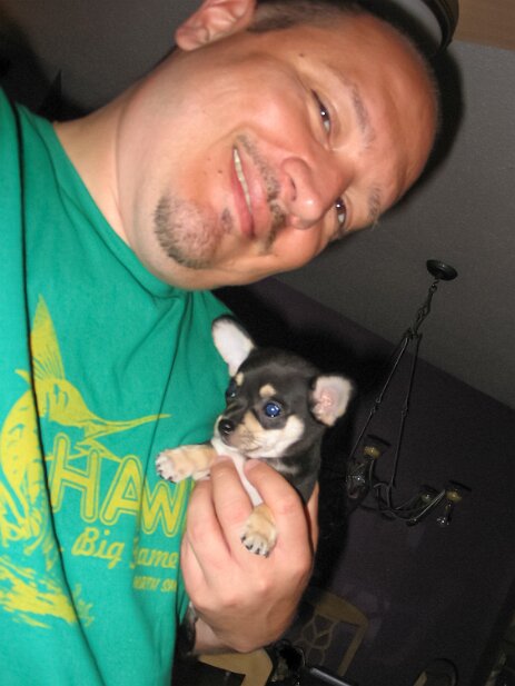 Pets 2008