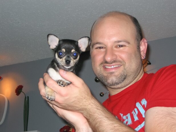 Pets 2008