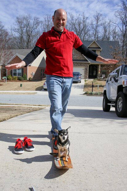 Pets 2013