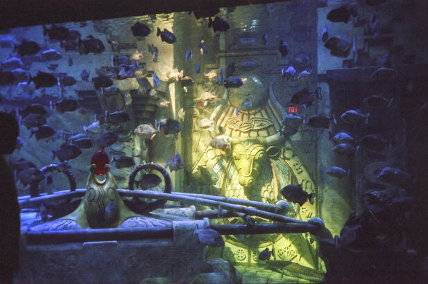 Cruise, Fantasy, February 2001