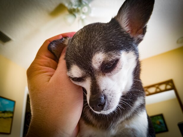 Cruise Paradise 2018-04