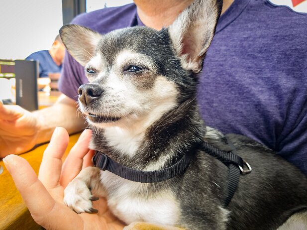 Cruise Paradise 2018-04