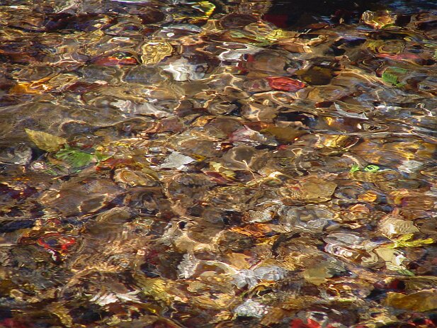 Georgia Mountains Road Trip