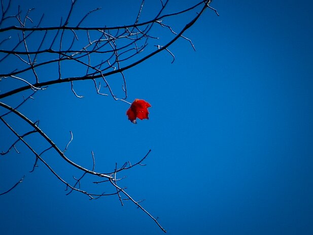 Georgia Mountains Road Trip