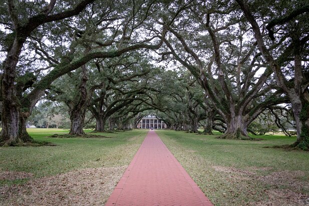 New Orleans 2019-01 Oak Alley Plantation