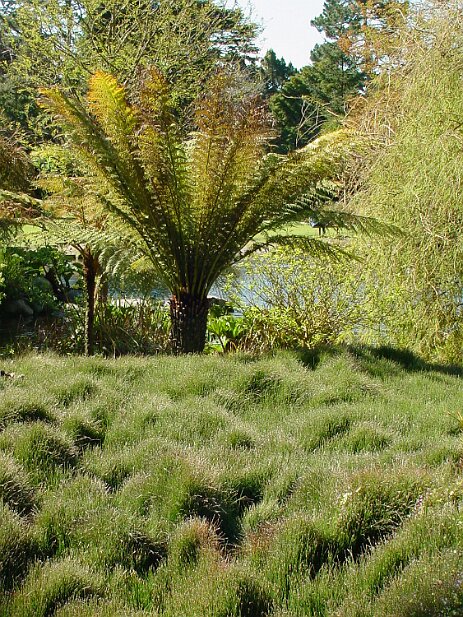 San Francisco, 2002 San Francisco Botanical Garden