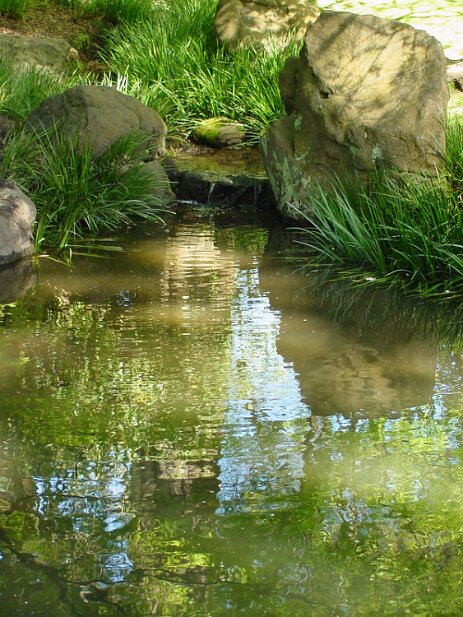 San Francisco, 2002 San Francisco Botanical Garden
