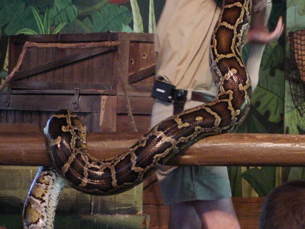 St. Augustine 2003-05 Alligator Farm