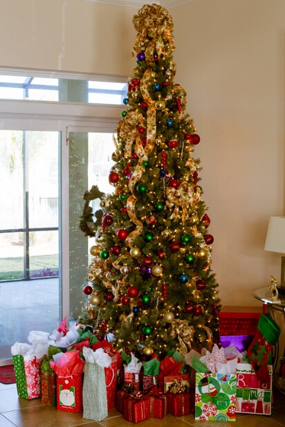 St Augustine 2014-11