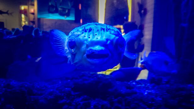 007-20151221-st augustine