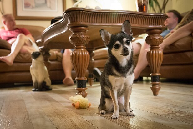 St Augustine 2016-06