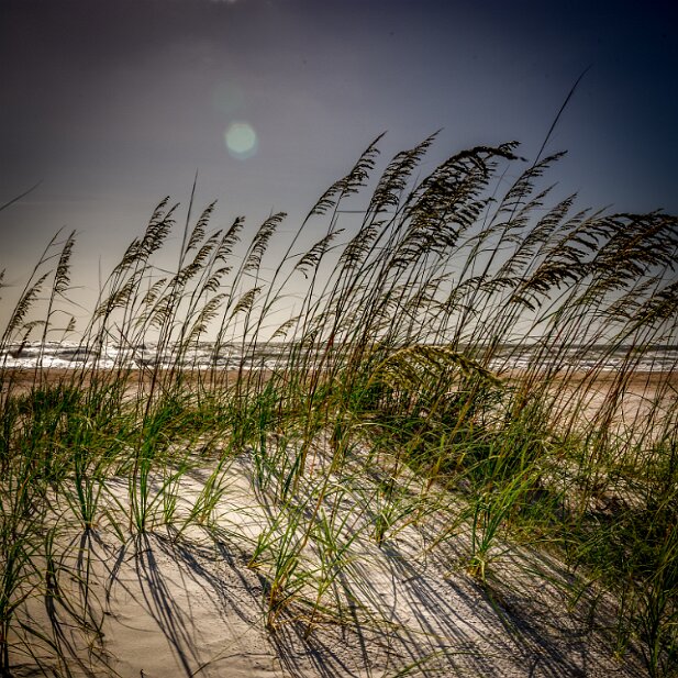 St Augustine 2016-06