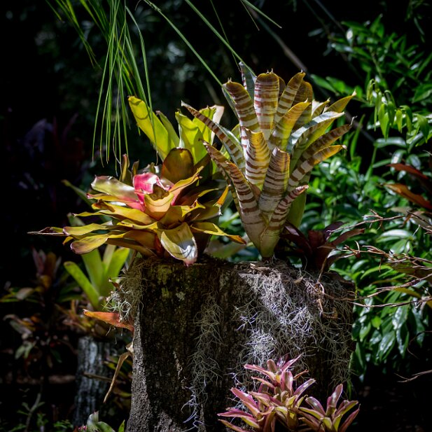 St Augustine 2016-08