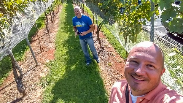 Wolf Mountain Vineyard 2015-09