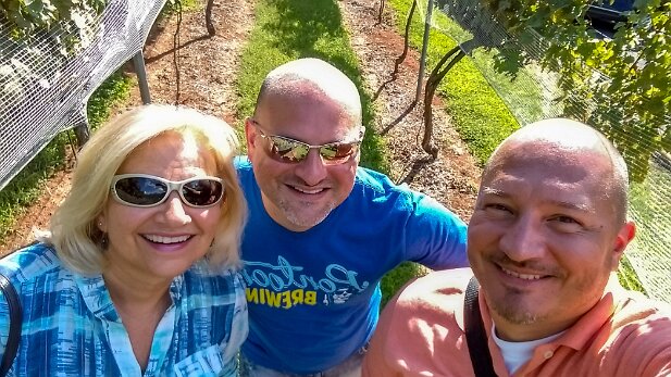 Wolf Mountain Vineyard 2015-09